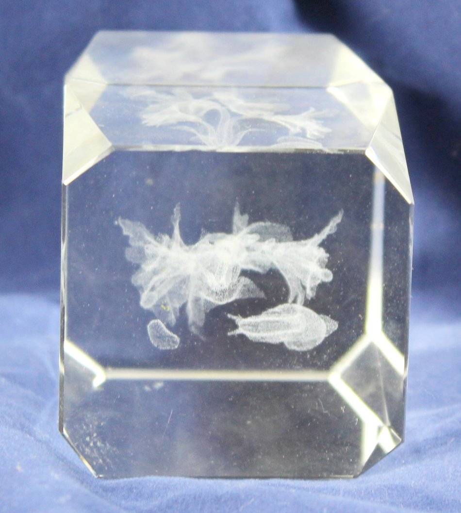 Paperweights & Dumps 3D Etched Glass Paperweight Fairies