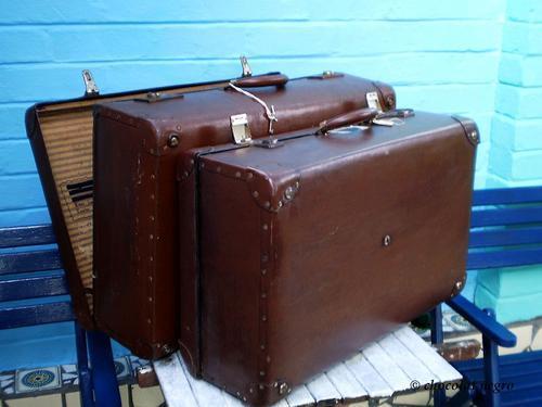 Other Antiques & Collectables - SET OF TWO ANTIQUE GLOBITE SUITCASES ...