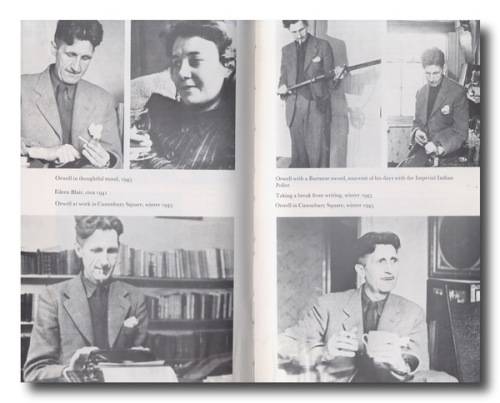 George selmeister risk identification essay 03 picture