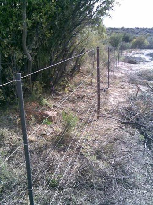 Fencing Amazing Plastic Droppers for Fencing was sold for R5.96 on 28