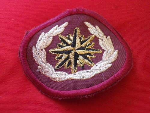 South African Army - SANDF - SPECIAL FORCES BERET BADGE (2916) was ...