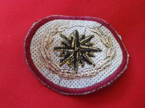 South African Army - SANDF - SPECIAL FORCES BERET BADGE (2916) was ...