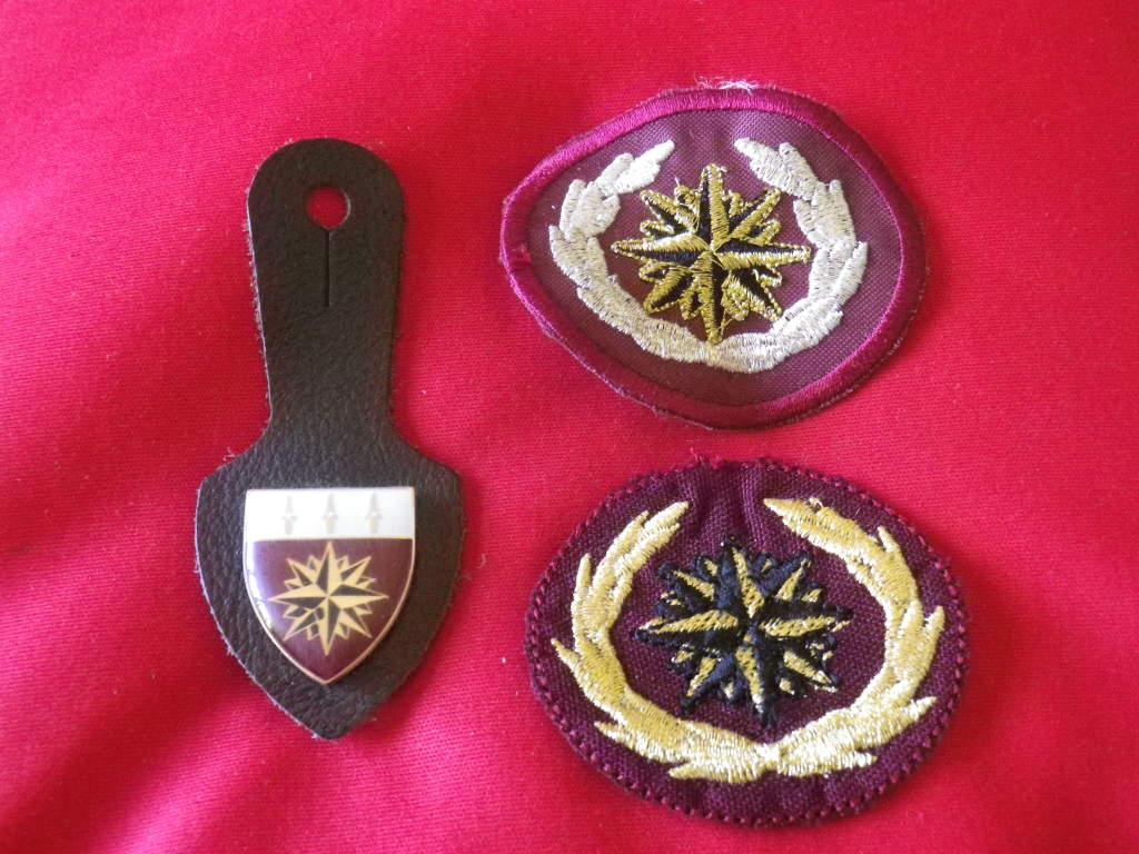 South African Army - SANDF SPECIAL FORCES - 2 X LUREX BERET BADGES + 5 ...