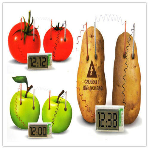 Science & Nature DIY Potato Clock Kit was sold for R1.00 on 16 Jan at