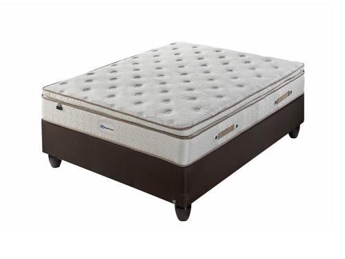 Sealy mia plush shop pillow top