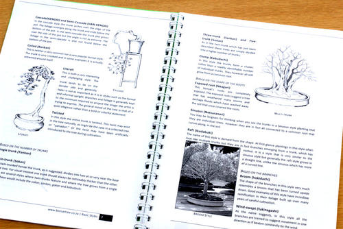 bonsai tree beginners manual