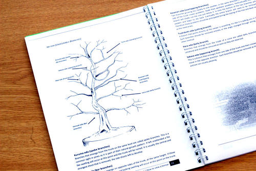 bonsai beginners manual