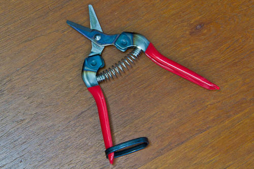 japanese bonsai tools scissors