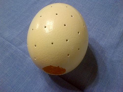 Other Antiques & Collectables - Ostrich Eggs Cracked open on top was ...