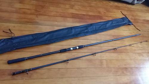 10 Ft Fishing Rods Cheap _ Top 10 Surf Fishing Rods Reviewed By Us! – NTQIR