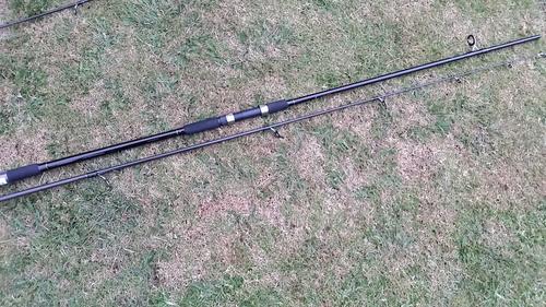 Elbe carp master rod - 10 ft