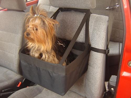 dog car seat