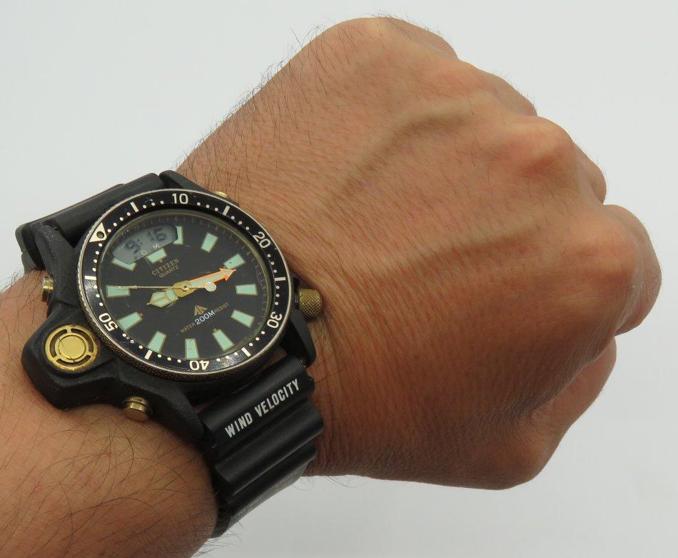 citizen watch aqualand promaster