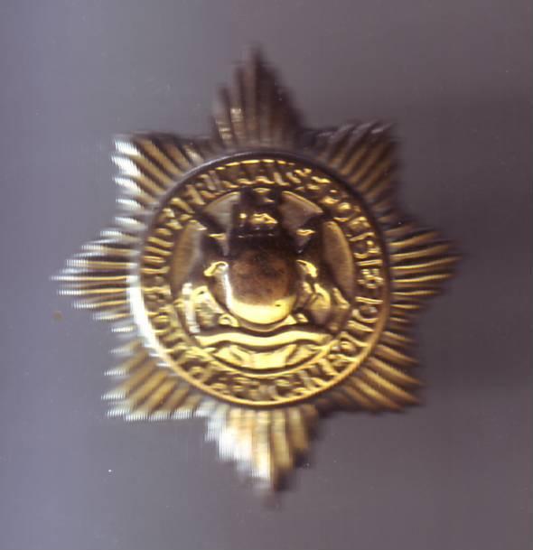 South African Police Services - SOUTH AFRICAN POLICE CAP BADGE was sold ...