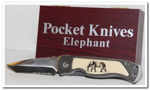 Pocket Knife lockable