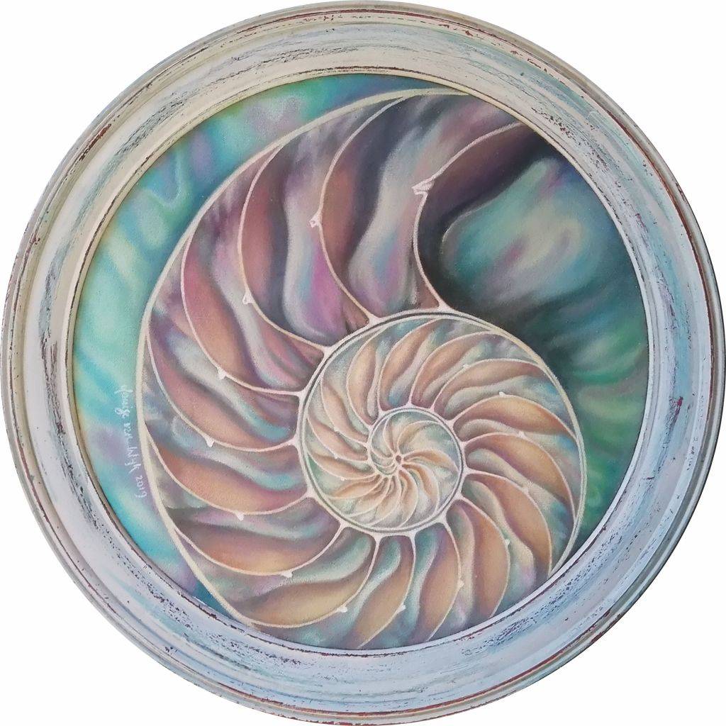 Paintings Nautilus Shell, Original Oil Painting for sale in