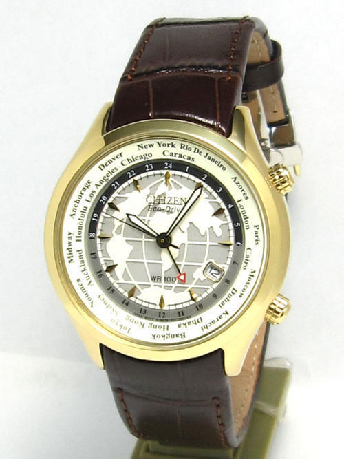 citizen world time watch