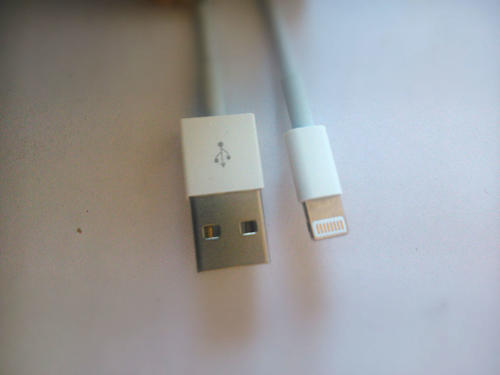 iPhone 5 / 6 / iPad / Air / Mini / iPod Lightning to USB Cable Heads