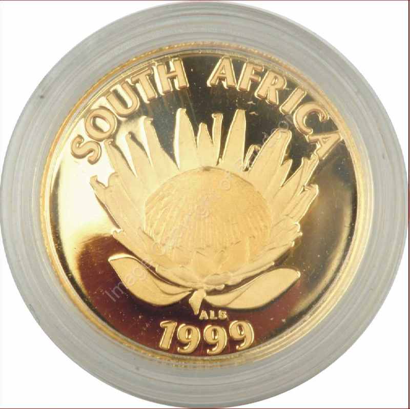 1999_Gold_Protea_1_Tenth_Mine_coin_ob