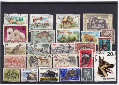 Lot of 24 Animal stamps - as per photo