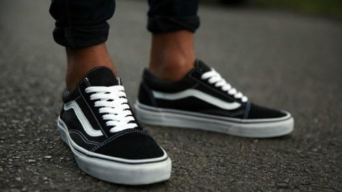 different colour vans