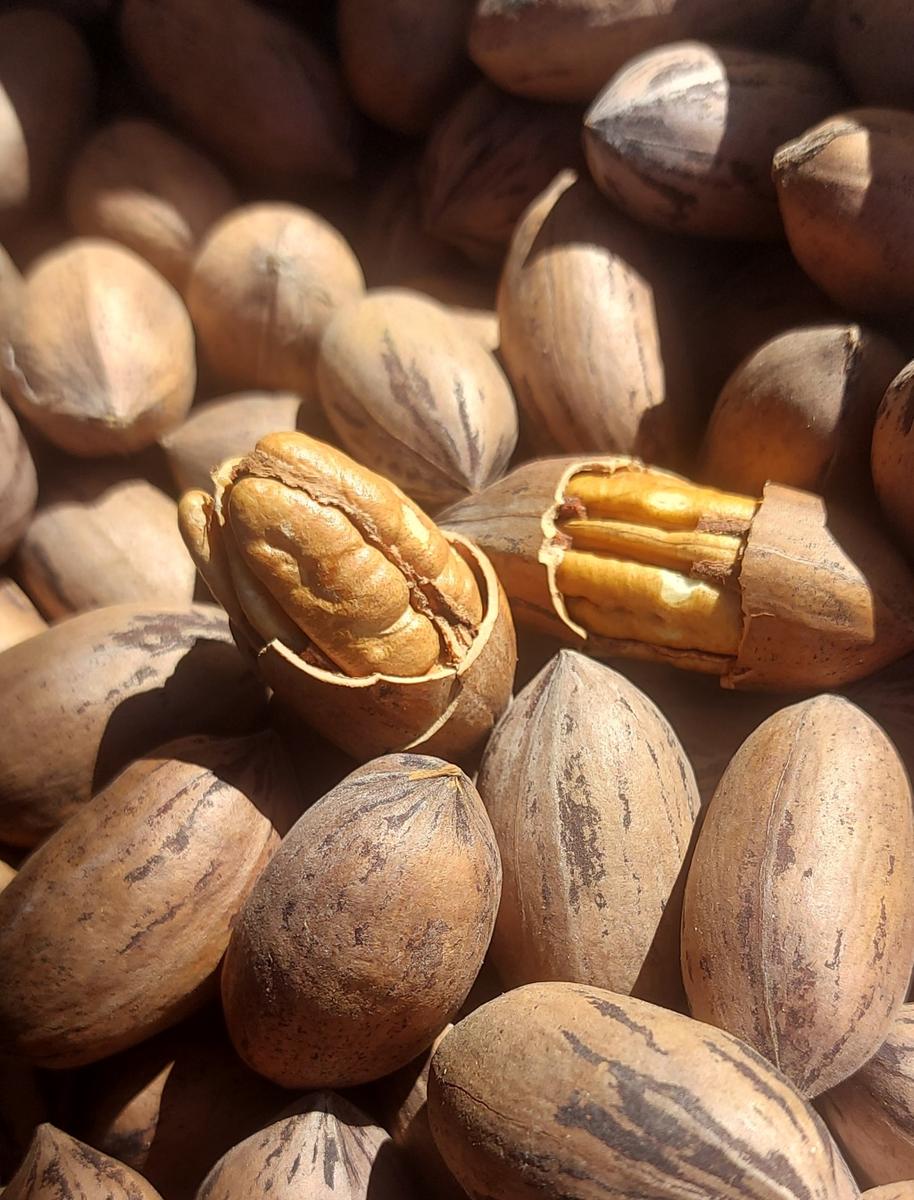 Snacks, Chips & Nuts - Farm fresh just picked pecan nuts was sold for ...