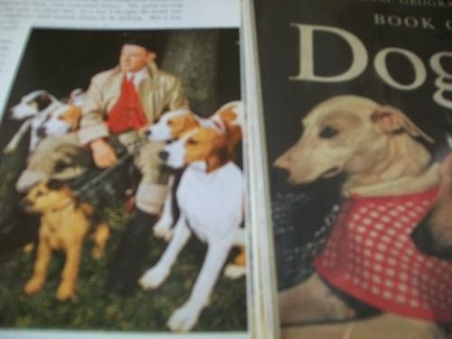Cna National Warranty >> Pets & Animal Care - NATIONAL GEOGRAPHIC - BOOK OF DOGS ... Cna National Warranty >> Pets & Animal Care - NATIONAL GEOGRAPHIC - BOOK OF DOGS ...