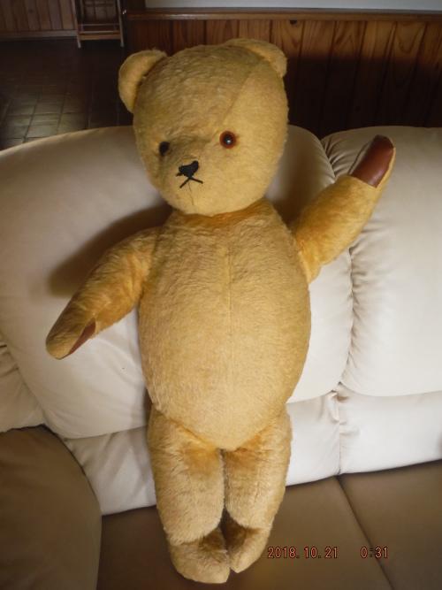 50 year old teddy bear