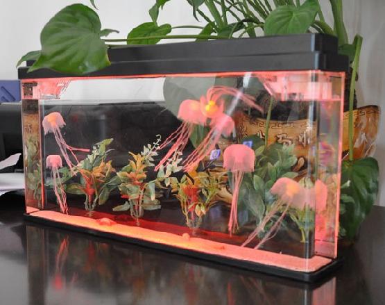modern jelly fish tank