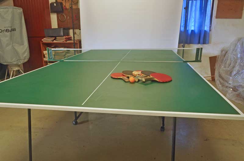 Table tennis table plus equipment