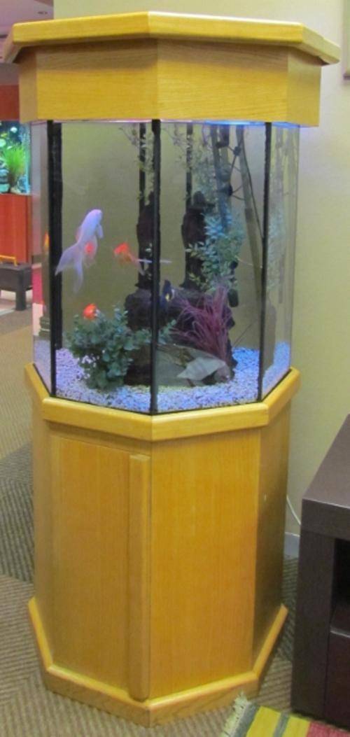 Aquariums & Tanks FISH TANK=AQUARIUM=Hexagonal in solid OAK
