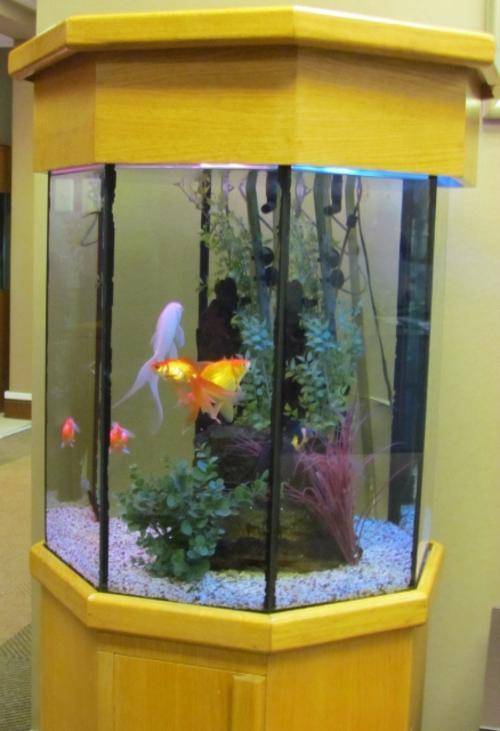Aquariums & Tanks FISH TANK=AQUARIUM=Hexagonal in solid OAK