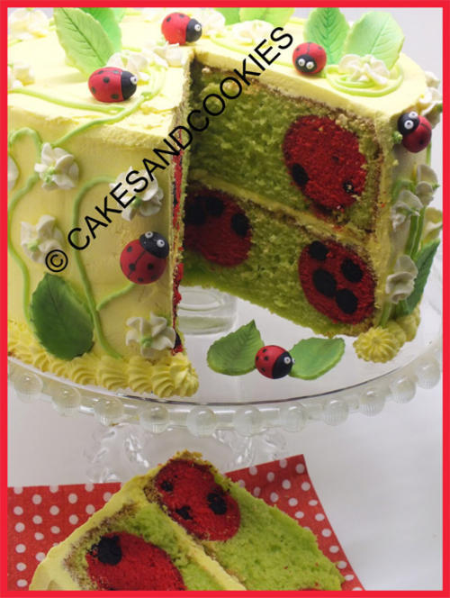 Learn how to bake ladybirds and polka dots inside your cakes and cupcakes - Tutorial For Sale