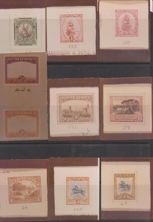 Sapo essay 04 picture