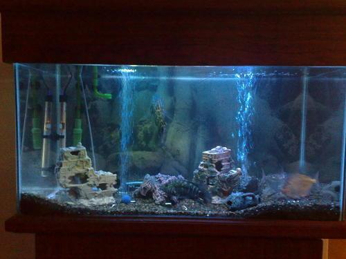 super modern fish tanks