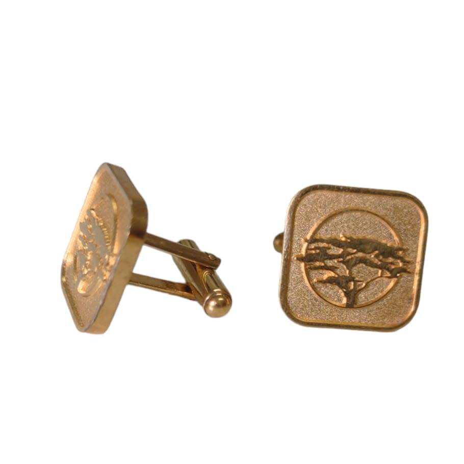 Cufflinks FNB Gold Plated Cufflinks O0077 was sold for R1.00 on 27