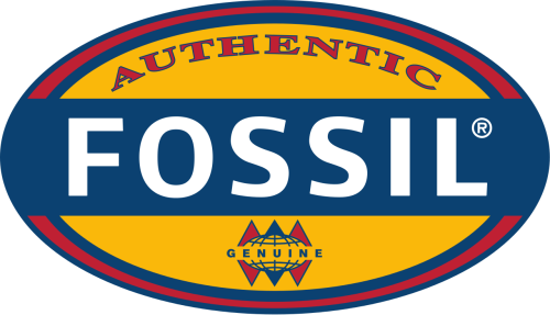 Fossil Men's FS5150