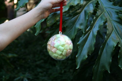 Clear plastic bauble