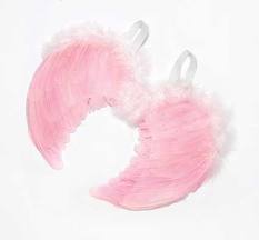 Pink feathers angel wings
