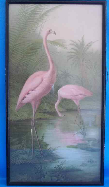 Lovely Vouga Flamingo Print Framed Behind Glass - 65cm/35cm