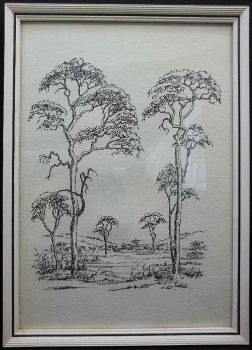 F Wynand Steyl Framed Behind Glass Ink Drawing - Toal Size 32cm/22,5cm