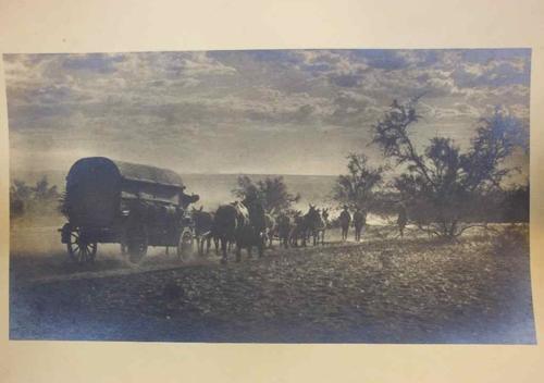 Fantastic Glazed Antique Photo Print Of A Mule Drawn Military/Transport Wagon c1890-1910 - 25cm/14cm
