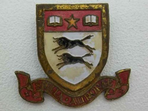 Vintage Stella Aurorae (University Of Natal) Crest Badge