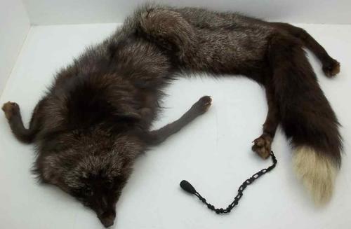 Vintage Genuine Fox Fur Stole, Length 1150cm, Excellent Condition