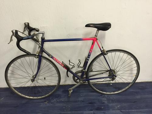 Vintage Alpina Racing Bicycle - Blue / Pink