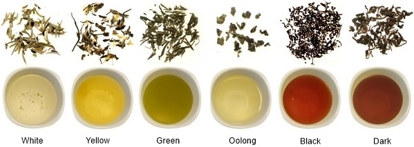 six types of tea