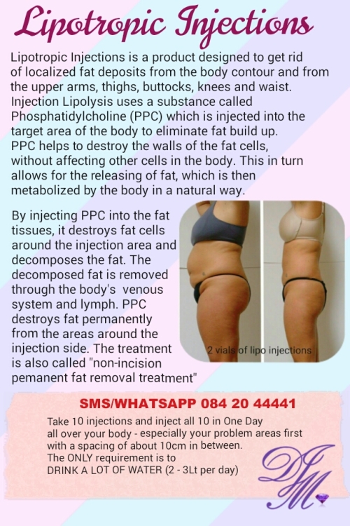 best weight loss program in south africa sc