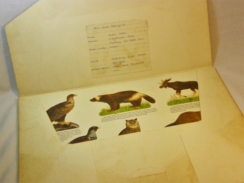 Full set of 8 prints of animals from the Iggesund Country