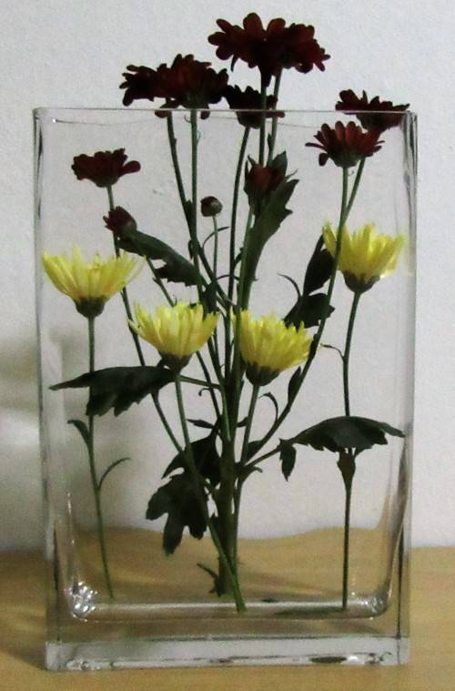 Vases A RECTANGULAR LARGE CLEAR GLASS FLOWER POT 30cm High