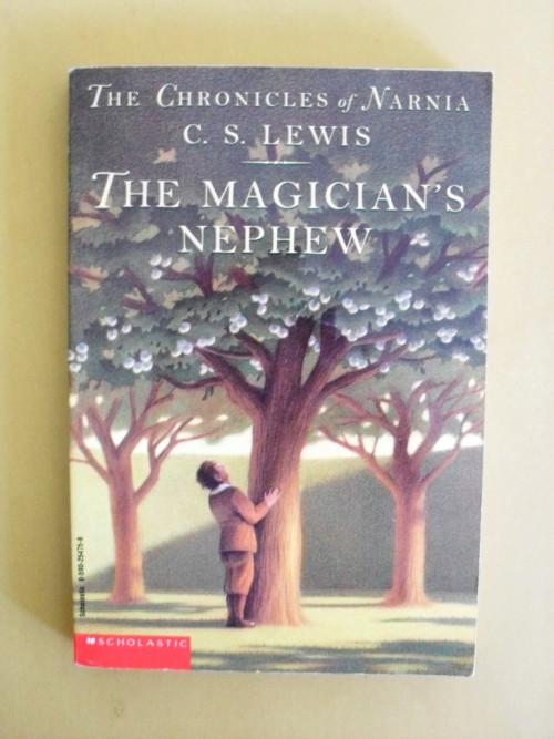 literary paper on the magicians nephew 7th grade english mrs simonson this reading guide is to be used before, while and after reading cs lewis’ the magicians nephew the questions provided will help you better understand the readings and come to a deeper appreciation of the work. literary paper on the magicians nephew 7th grade english mrs simonson this reading guide is to be used before, while and after reading cs lewis’ the magicians nephew the questions provided will help you better understand the readings and come to a deeper appreciation of the work.